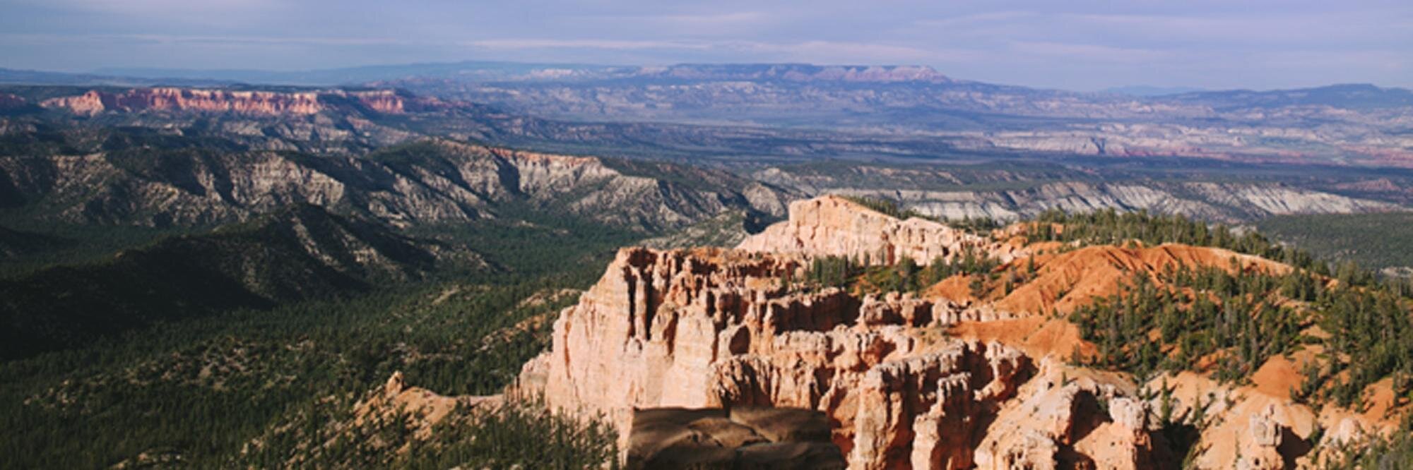 ChelseaRochelle's profile banner image