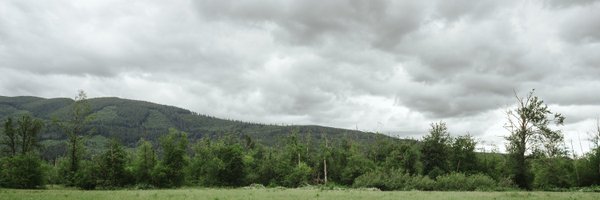 xBalbinus Profile Banner