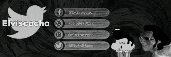 Elviscocho  Profile Banner