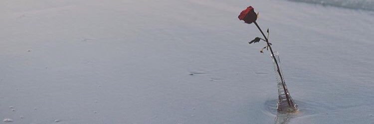 abrar22_'s profile banner image
