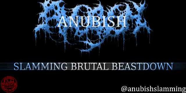 ErvanXvands's profile banner image