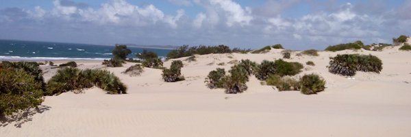 Mwangy Profile Banner