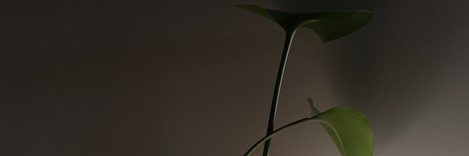 도안 banner