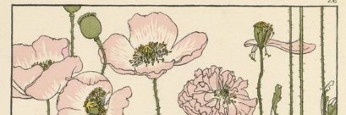 eisya𖦹²⁵ banner