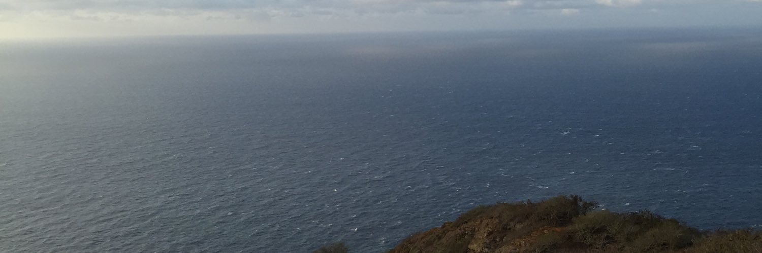 Wilmo11's profile banner image