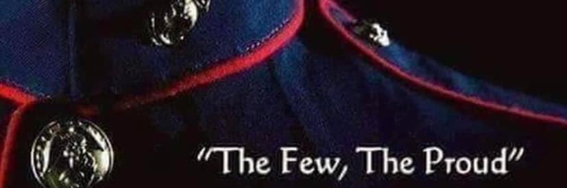 Fed up USMC Vet banner