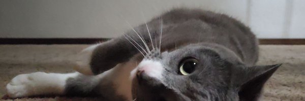 HellcatBruce Profile Banner