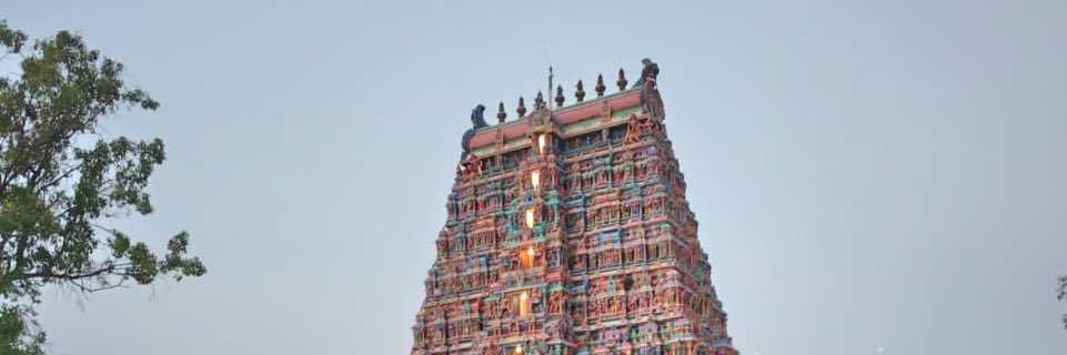muditpathak's profile banner image