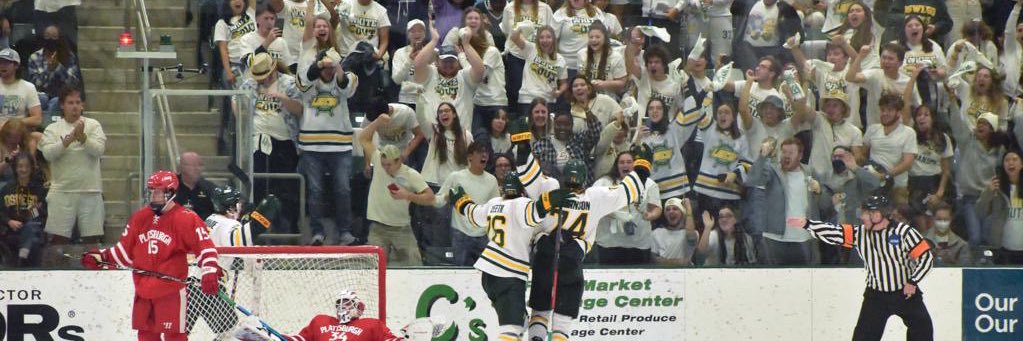 Ryan Dickinson banner
