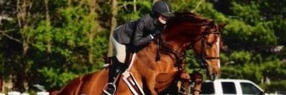 Lindsay Lynch banner