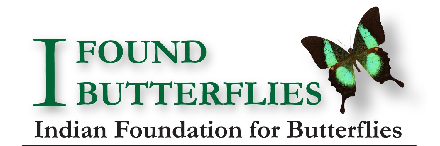 Indian Foundation for Butterflies banner