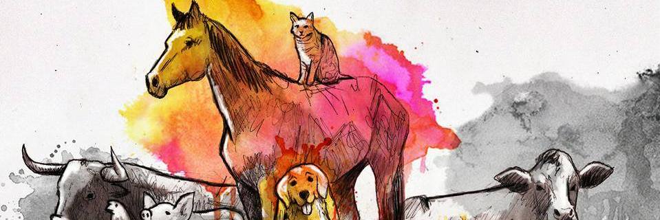 SoolColchado's profile banner image