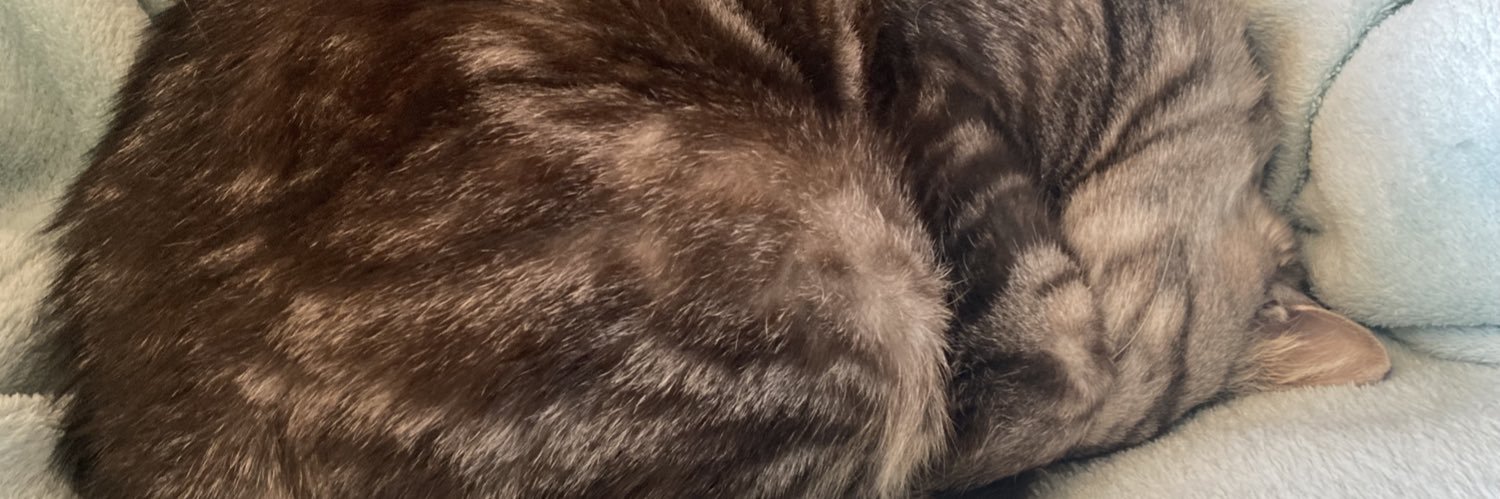 SyouTake's profile banner image