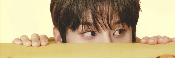 ria 🐼 banner