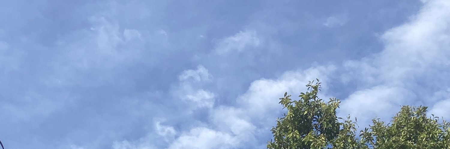 Sam | TETRACAMPEÃO E SUPERCAMPEÃO banner