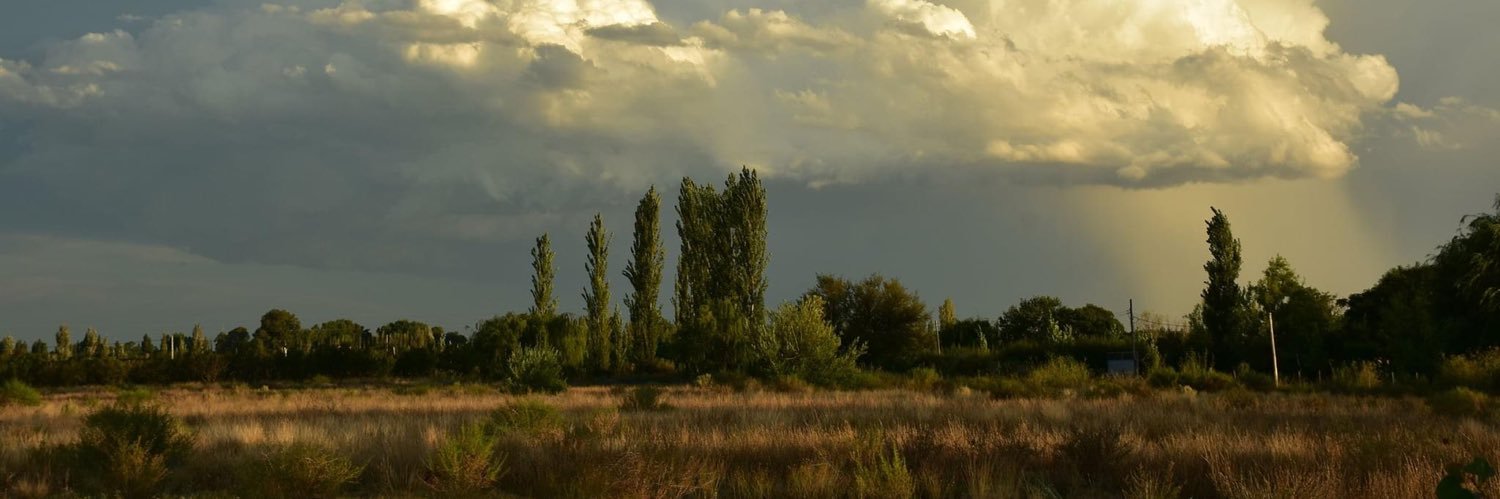Lorena Irigoy banner