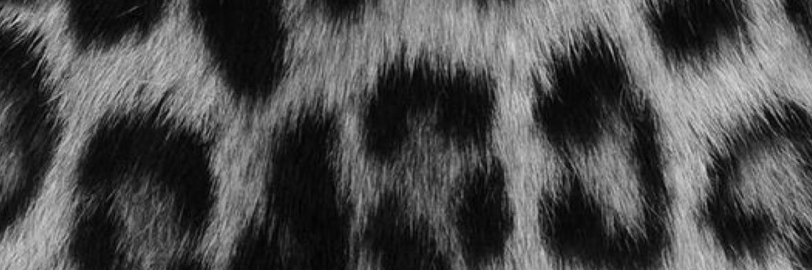 brishizzzle's profile banner image