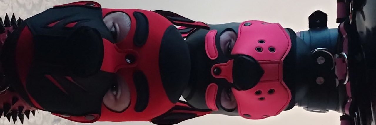 Pup Kai's banner