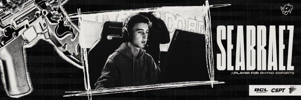seabracs Profile Banner