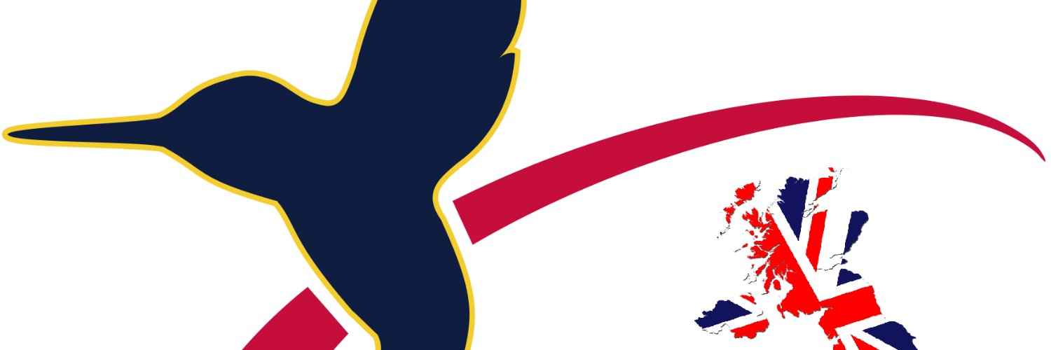 The Vertical Flight Society (VFS) UK Chapter banner