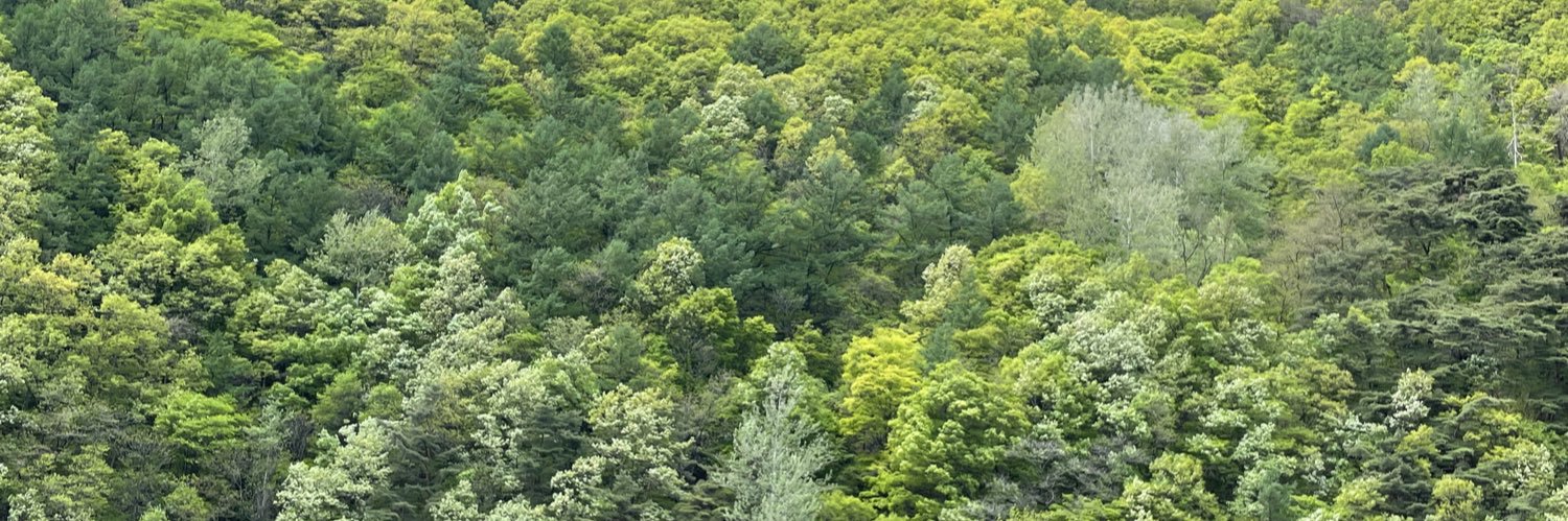 samemindever's profile banner image