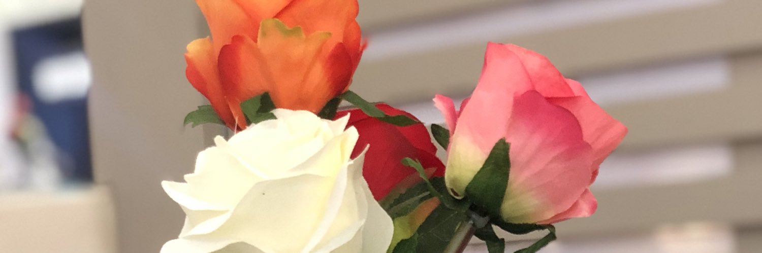 FoFo__Fs's profile banner image