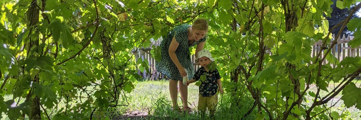 Jennifer Clark banner