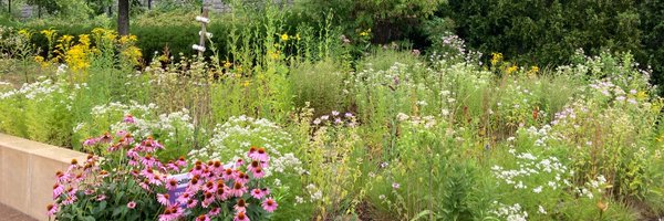 _LeslieSpencer_ Profile Banner