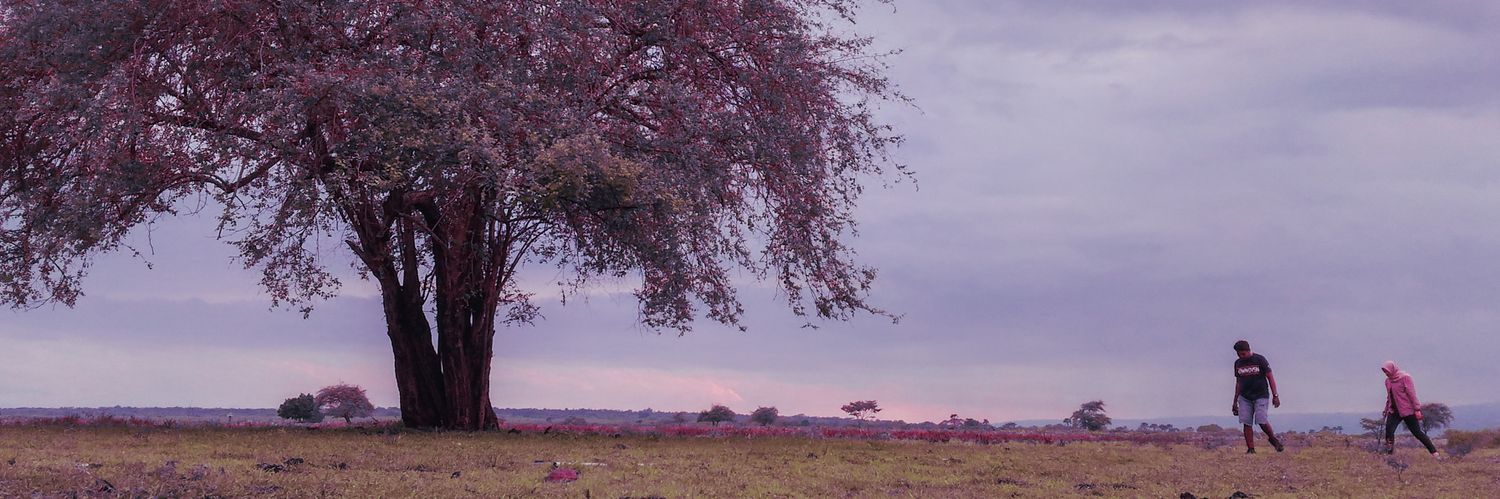 tulusfajri's profile banner image