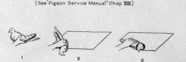 general abstract nonsense banner