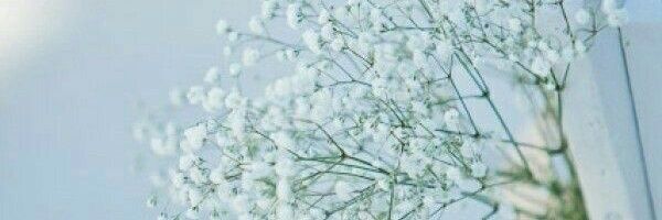 Razeta banner
