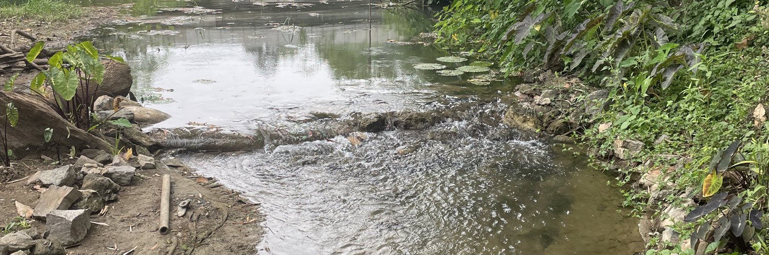 PiPo🏃🏻‍➡️ banner