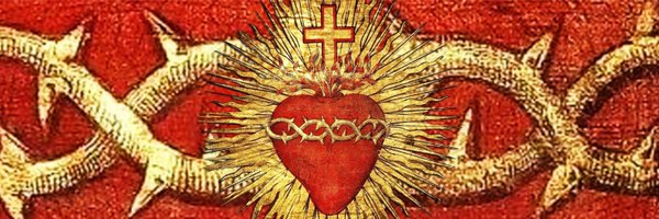 DrMaxDVM Profile Banner