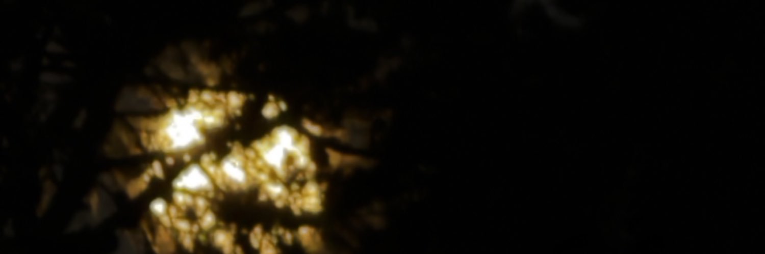 river’s perception banner