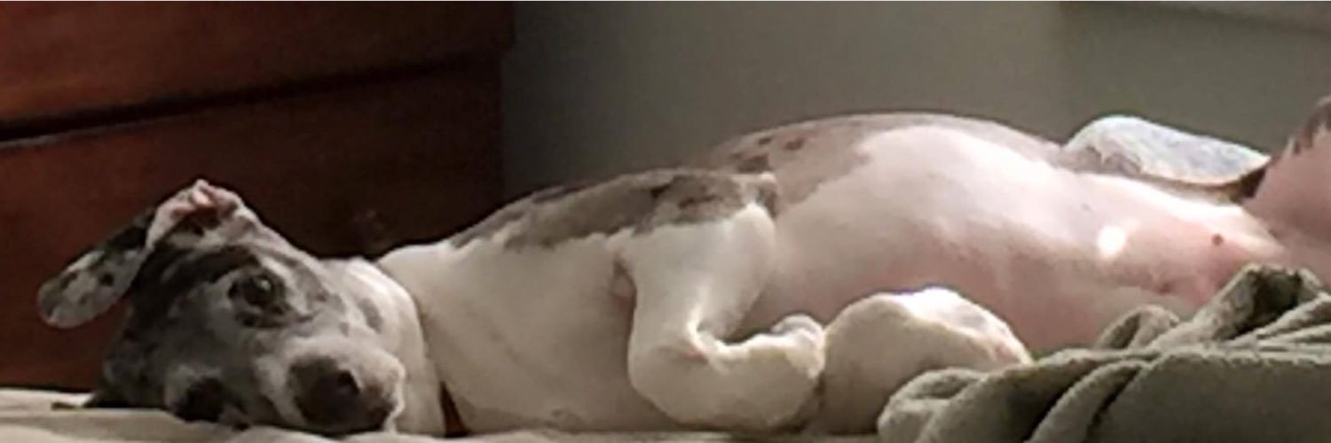 CLRBLUC's profile banner image
