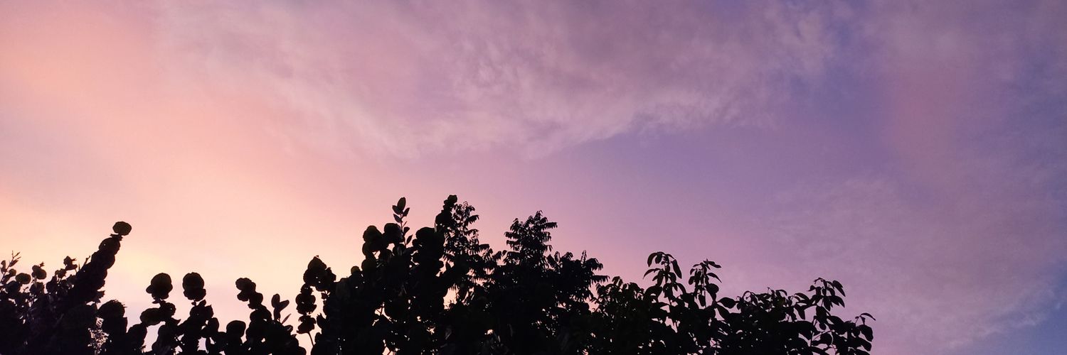 Aza🇲🇽 banner