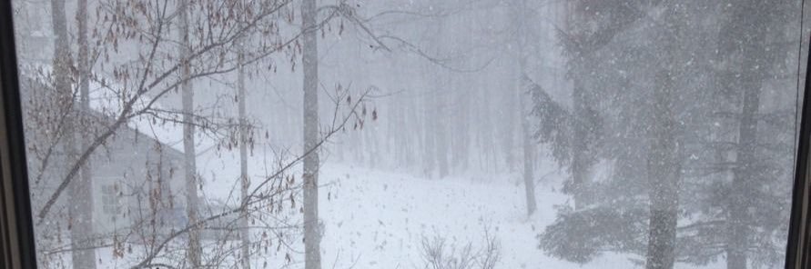 MsSamCam's profile banner image