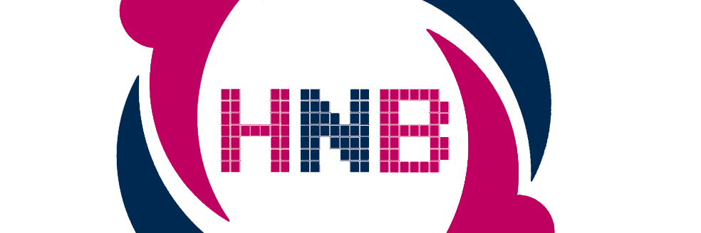 pichumanid's profile banner image