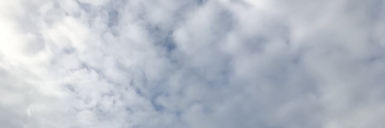 monsteragnes's profile banner image