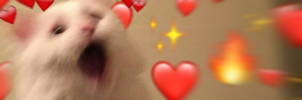 _Faannny's profile banner image