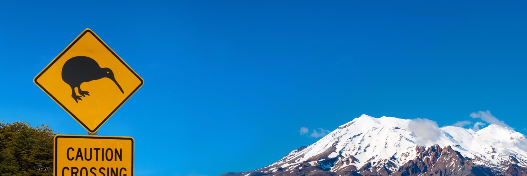 Kiwi intérim banner