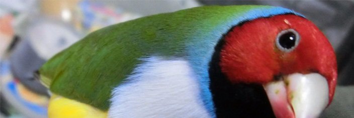 hamunosukeft's profile banner image