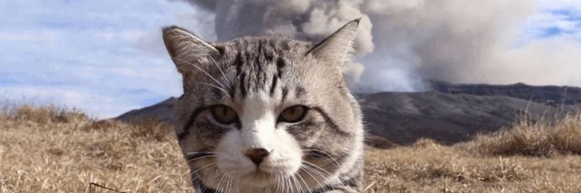 counterSFM 🔞 (C⭕️mms open 5/10) banner