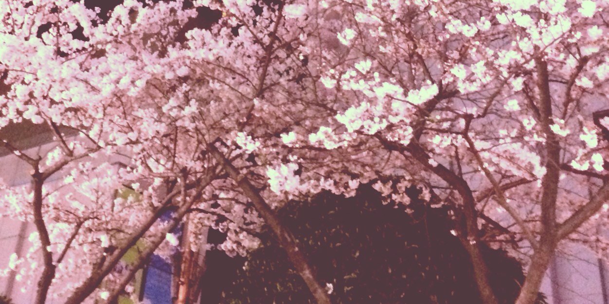 MsCindyy's profile banner image