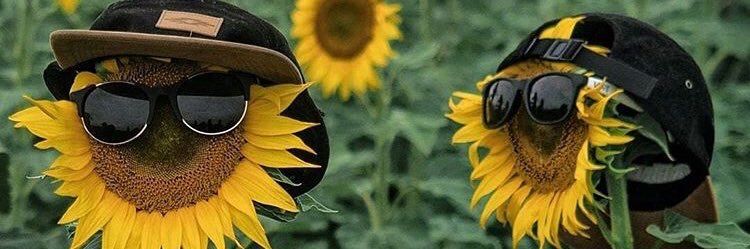 jonnerdotson's profile banner image