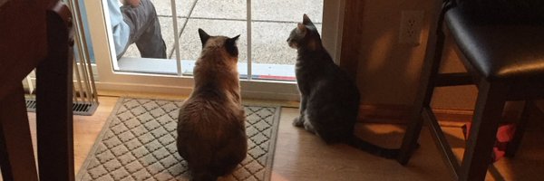 cyntaymd Profile Banner