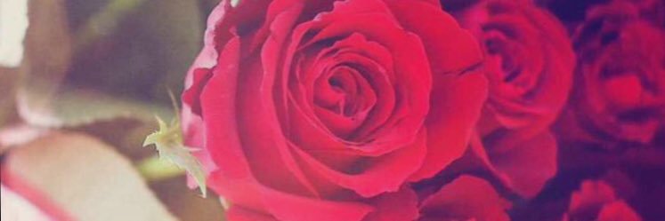 no0ody770's profile banner image