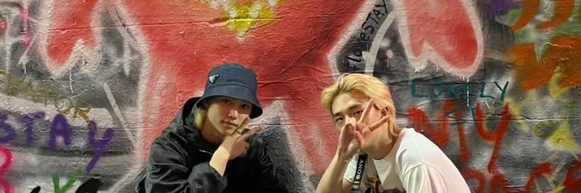 snowinghail's profile banner image