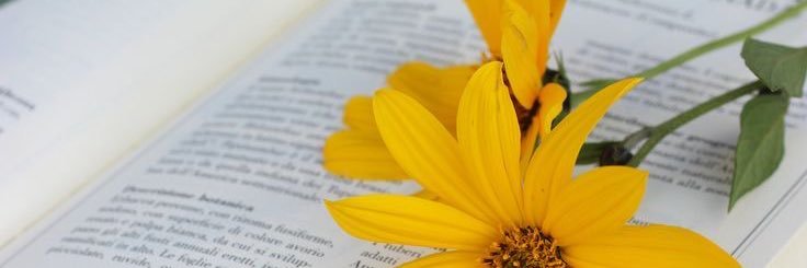 Nada_174's profile banner image