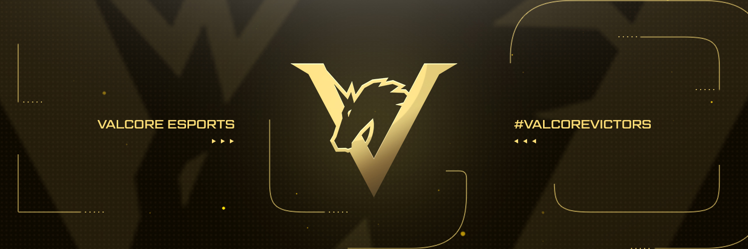 Valcore Esports banner